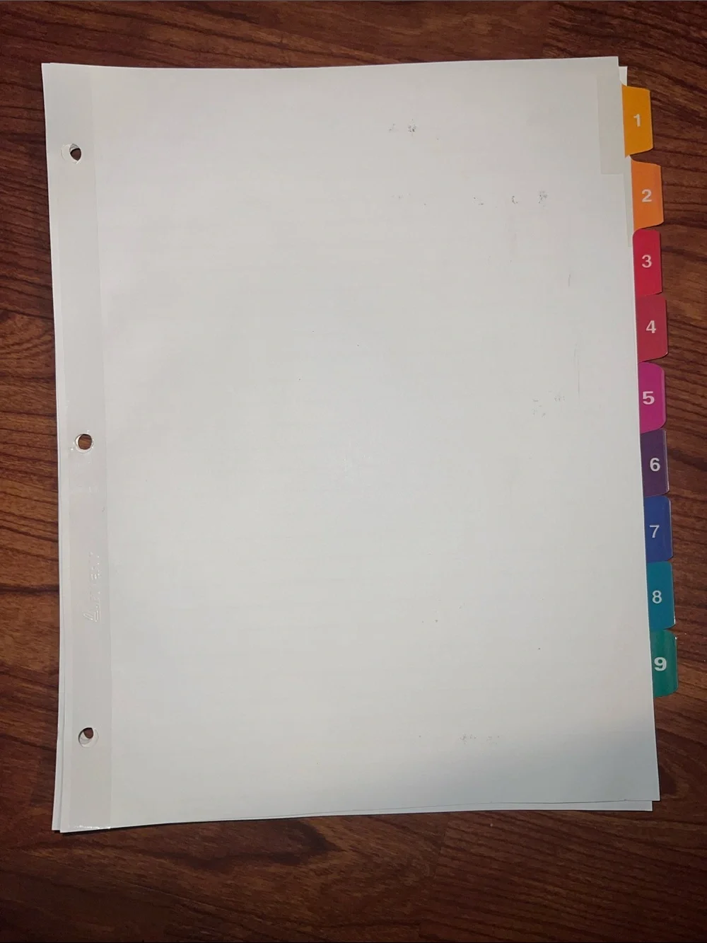 Multicolored Number 9 Tab Binder Dividers